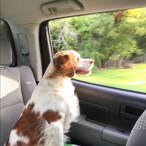 Meet your Posher, Melinda